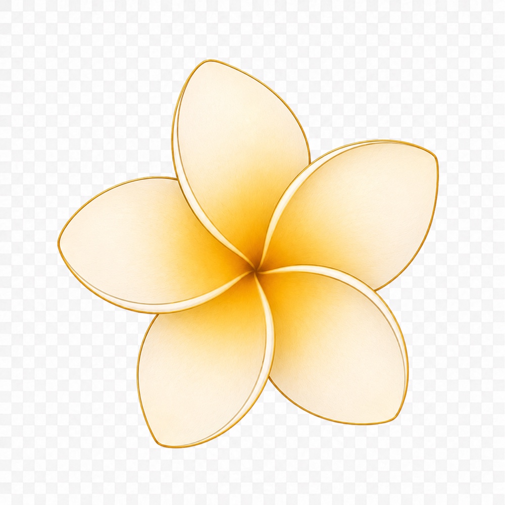鸡蛋花